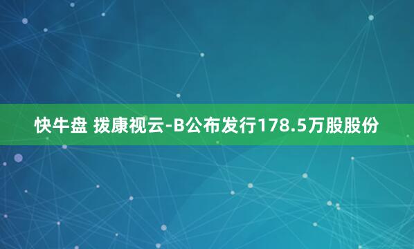快牛盘 拨康视云-B公布发行178.5万股股份